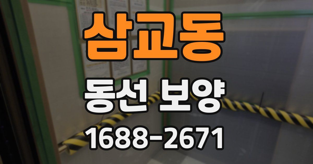 삼교동 동선 보양