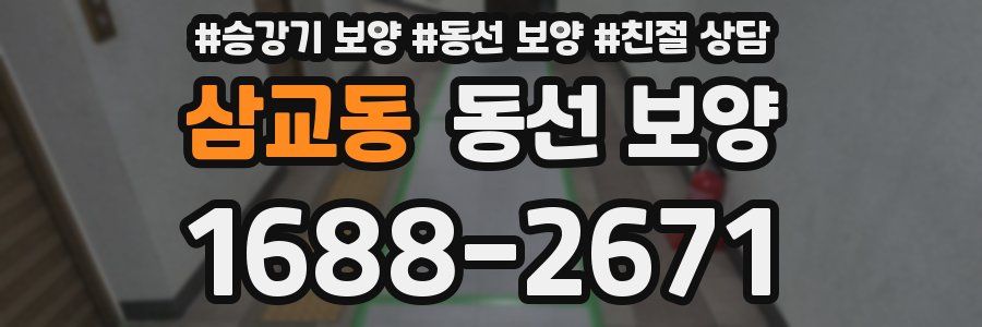 삼교동 동선 보양