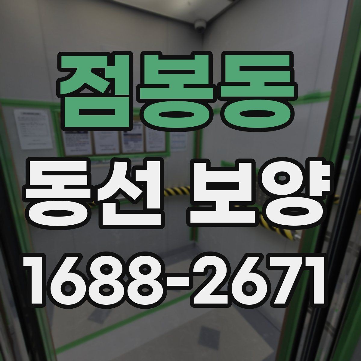 점봉동 동선 보양 공정별 체크포인트 정리