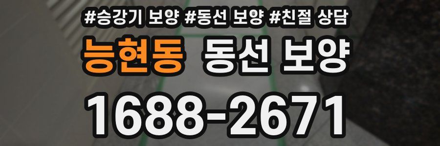 능현동 동선 보양
