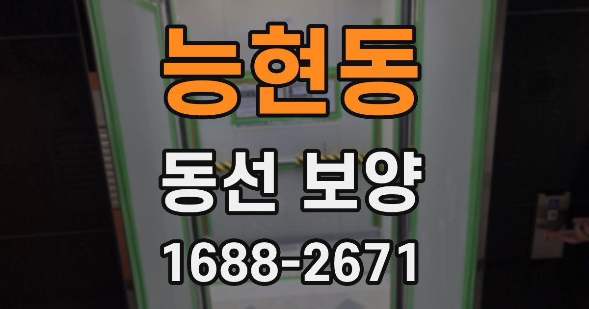 능현동 동선 보양