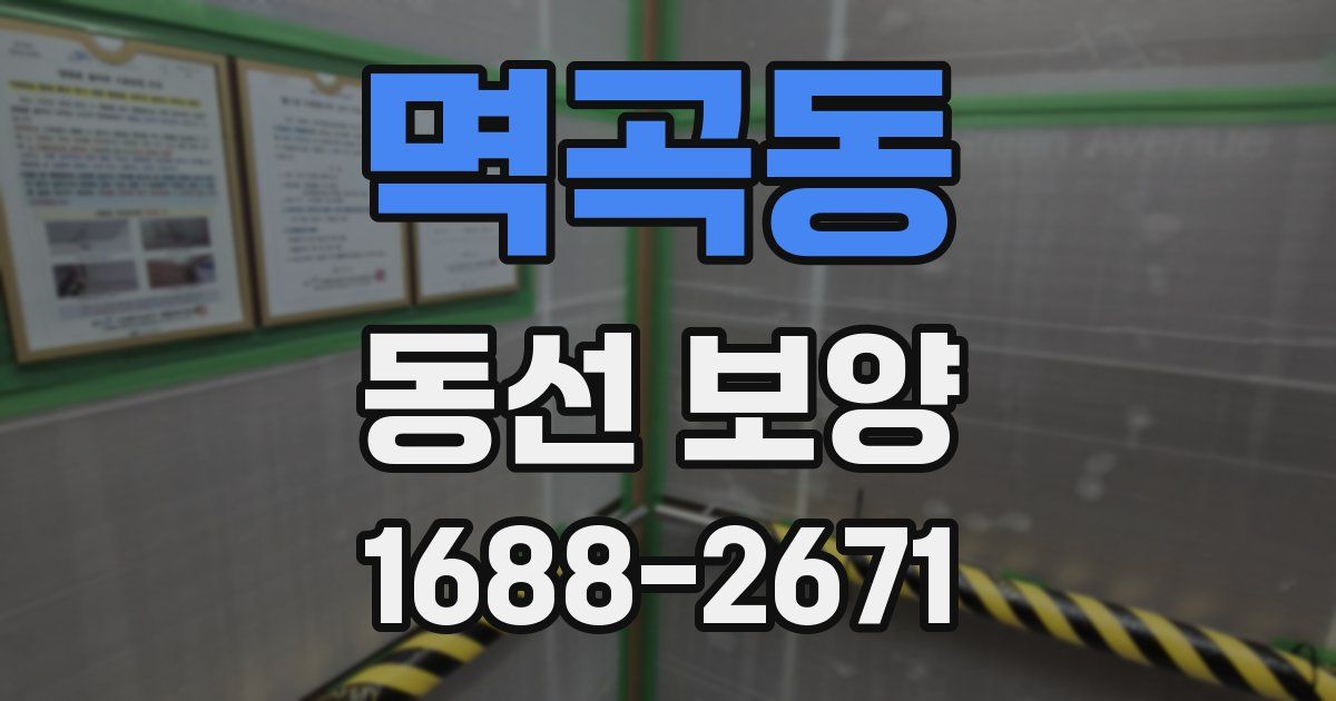 멱곡동 동선 보양
