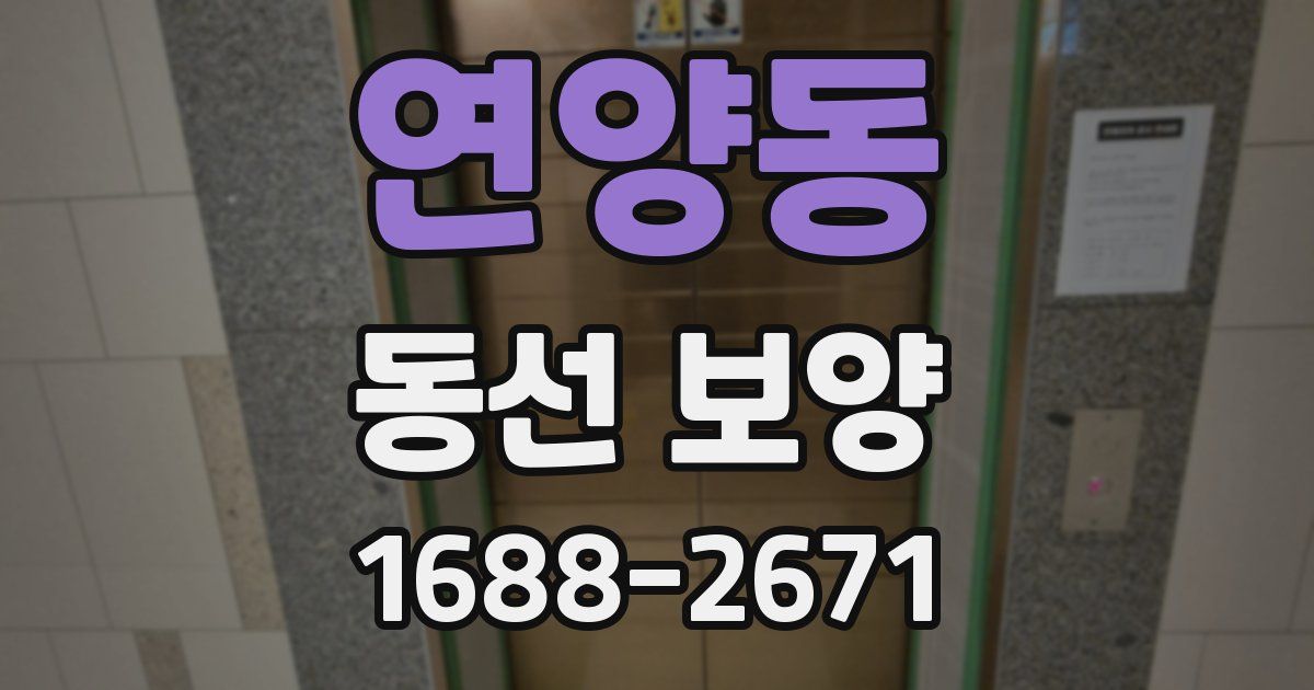 연양동 동선 보양