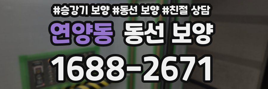 연양동 동선 보양
