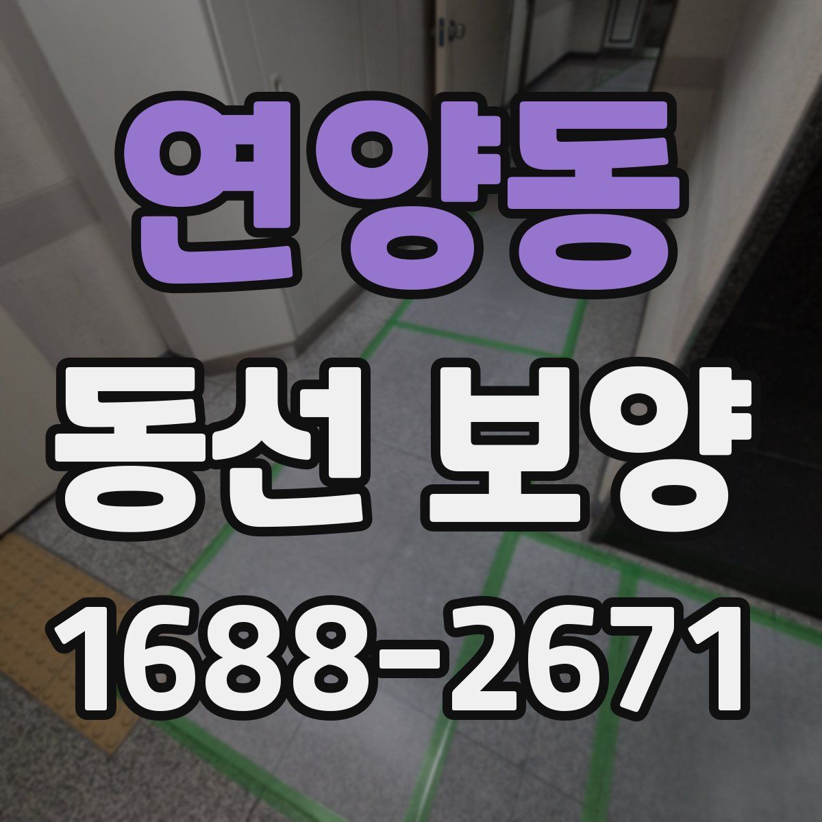 연양동 동선 보양