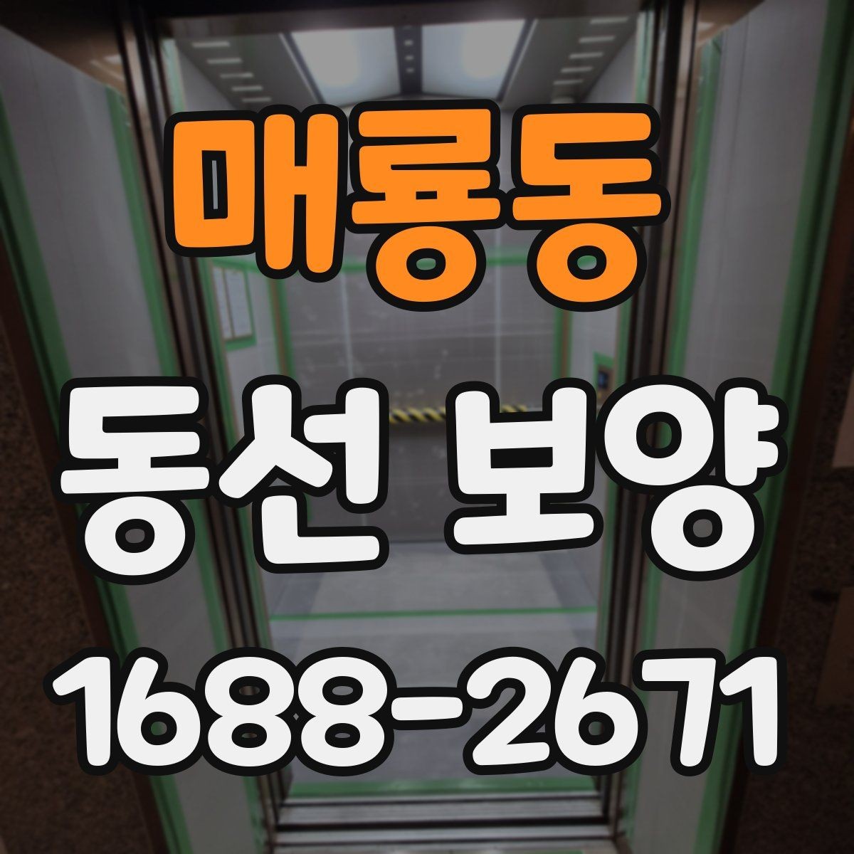 매룡동 동선 보양 시 필요한 안전 수칙과 보호 장비