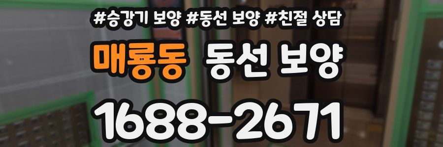 매룡동 동선 보양