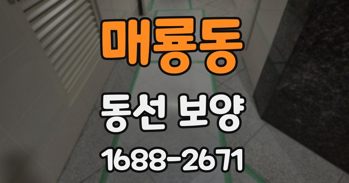 매룡동 동선 보양