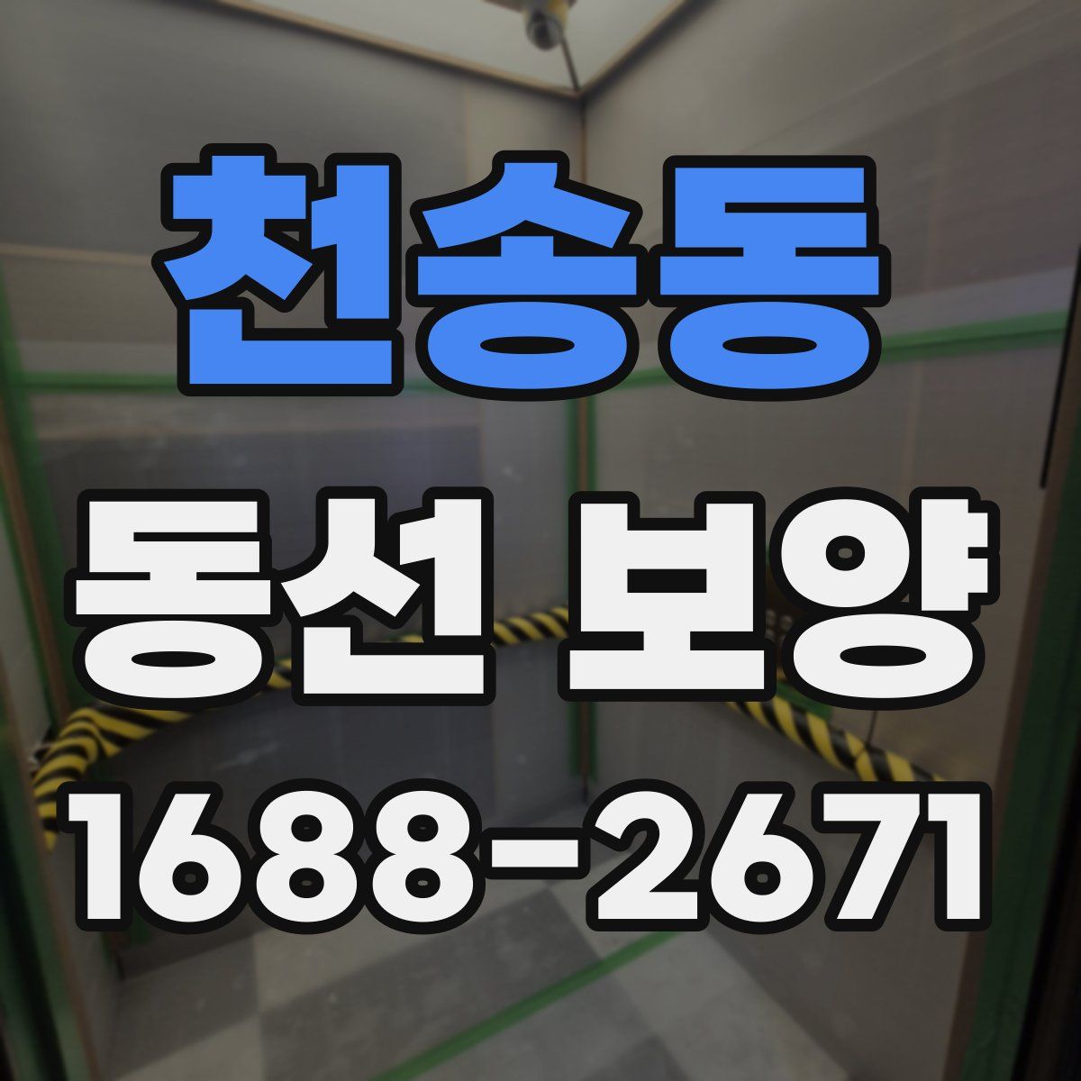 천송동 동선 보양