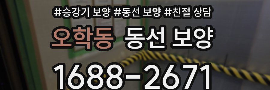 오학동 동선 보양