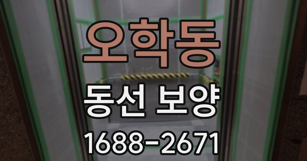 오학동 동선 보양