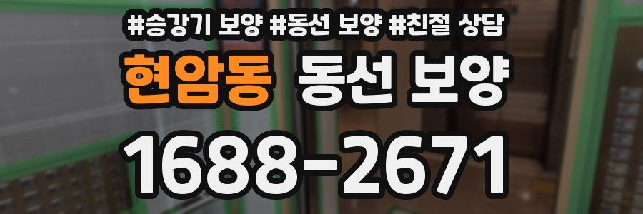 현암동 동선 보양