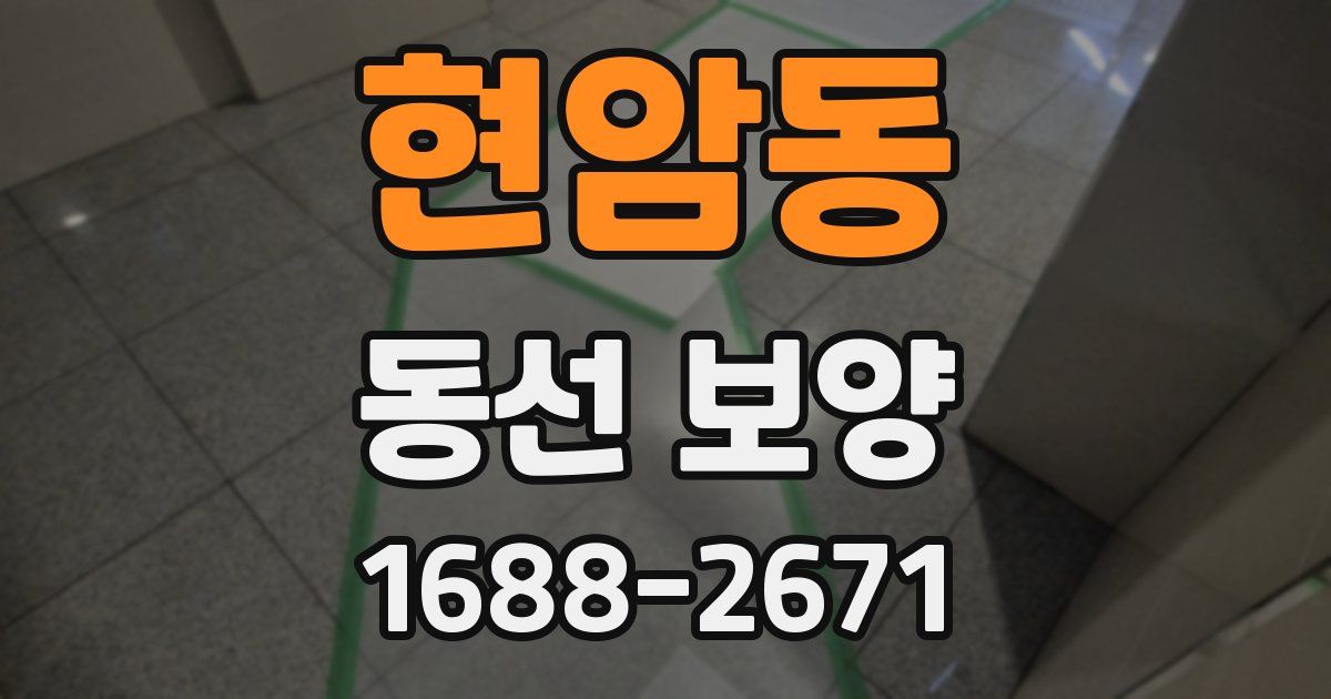 현암동 동선 보양