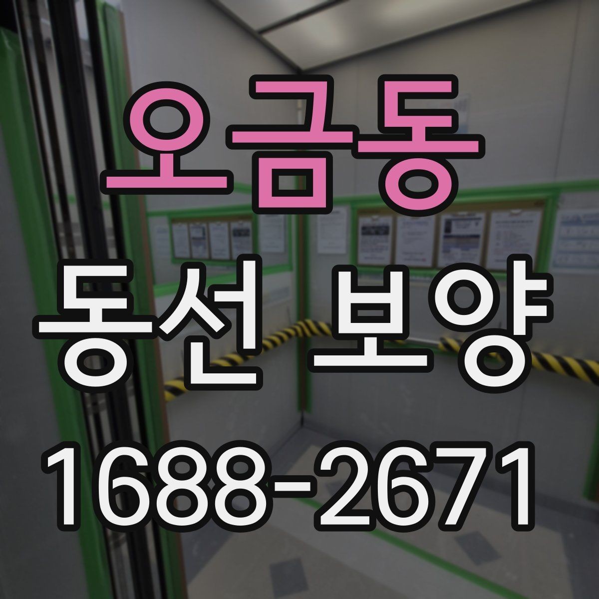 오금동 동선 보양 현장에서 많이 묻는 질문 정리