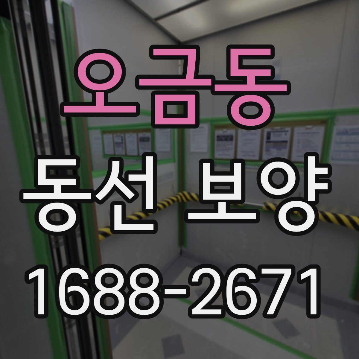 오금동 동선 보양