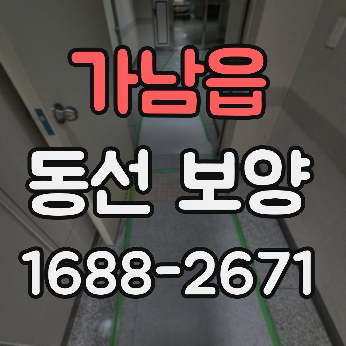 가남읍 동선 보양 선택 전 확인하면 좋은 기준