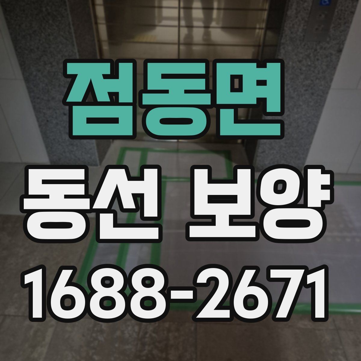 점동면 동선 보양 견적 비교할 때 살펴볼 포인트