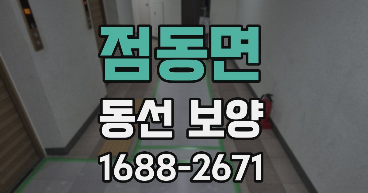점동면 동선 보양