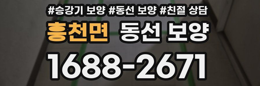 흥천면 동선 보양