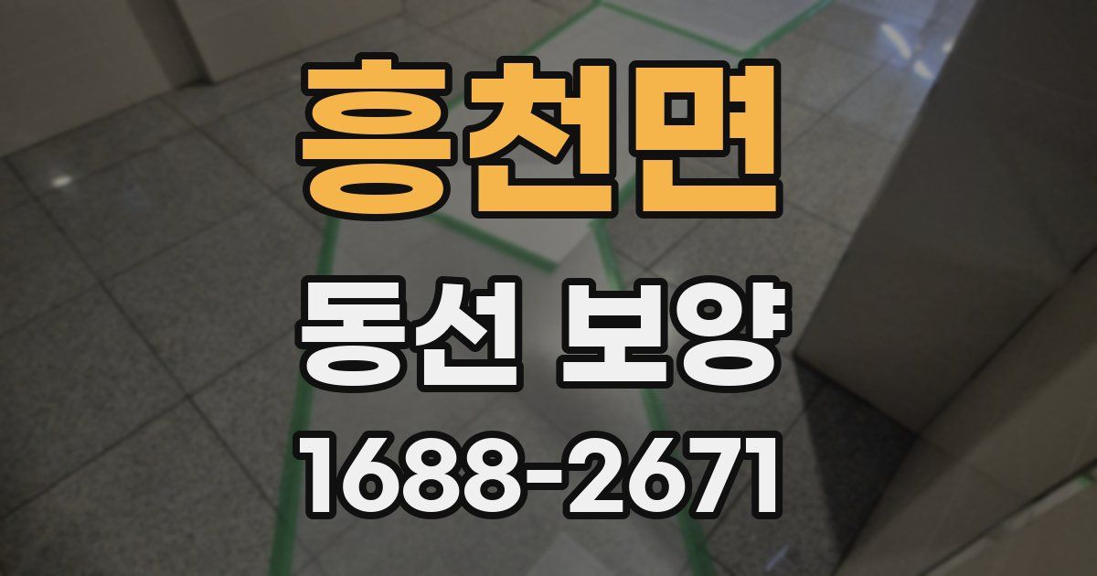 흥천면 동선 보양