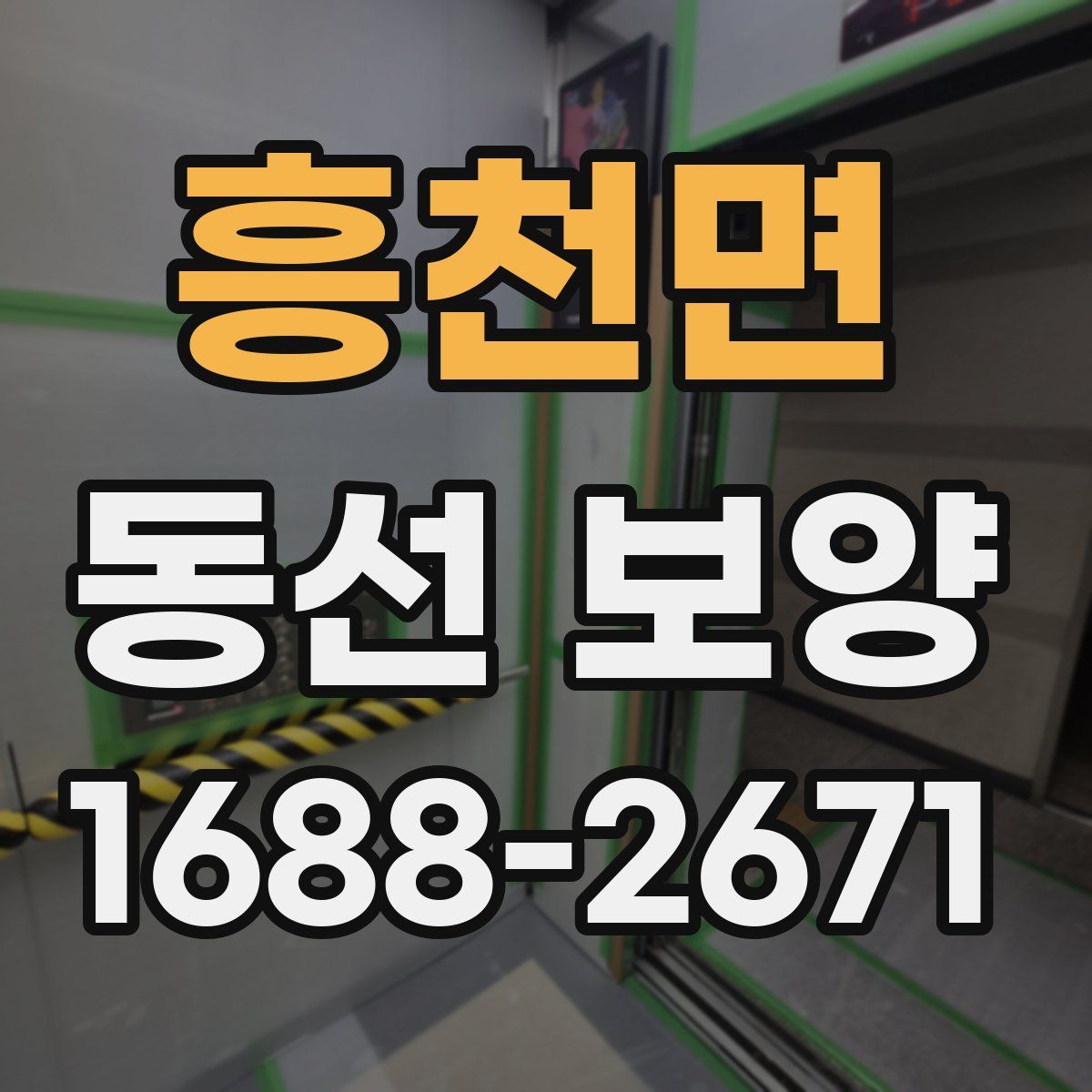 흥천면 동선 보양