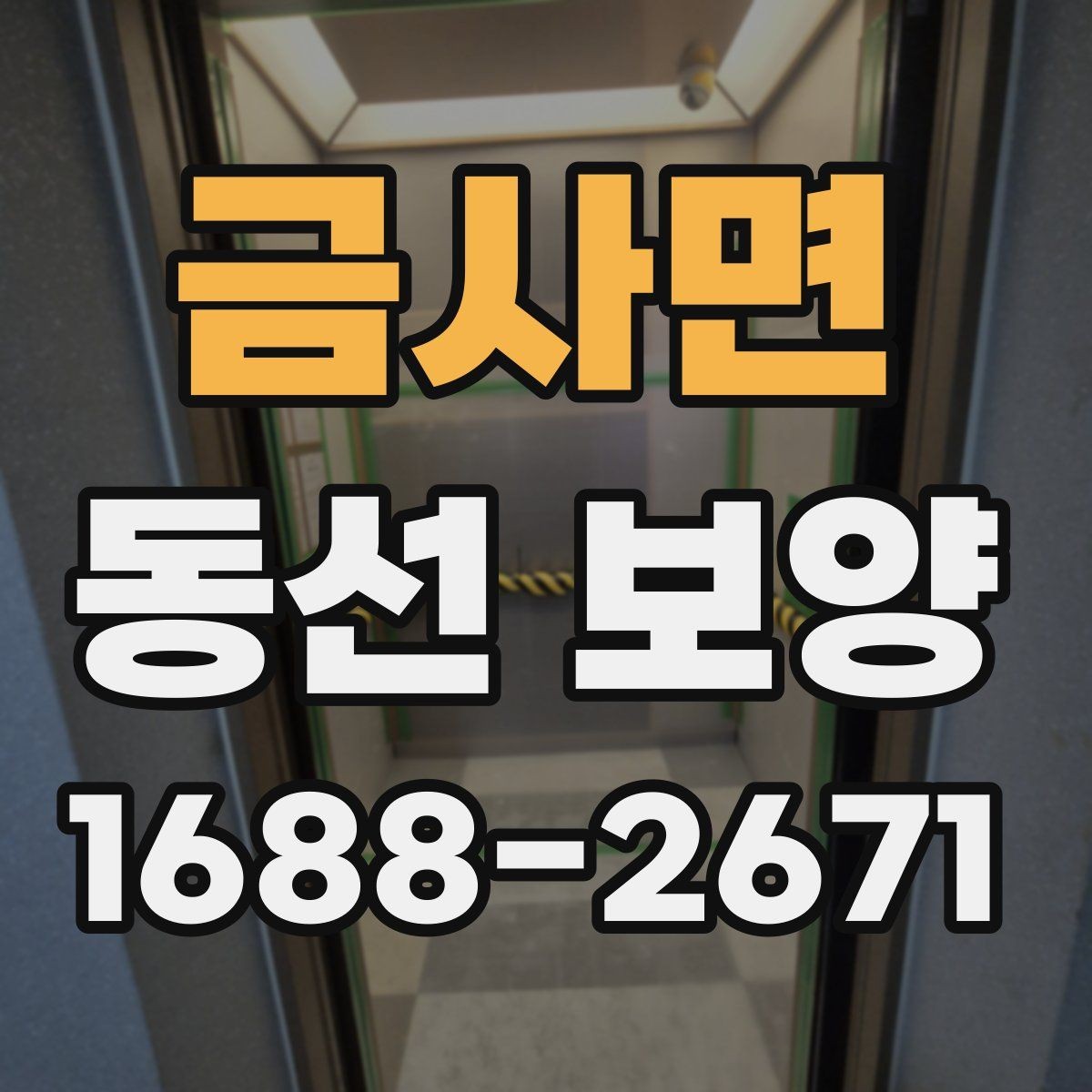 금사면 동선 보양 시 주의해야 할 안전과 동선 관리