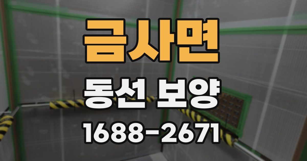 금사면 동선 보양