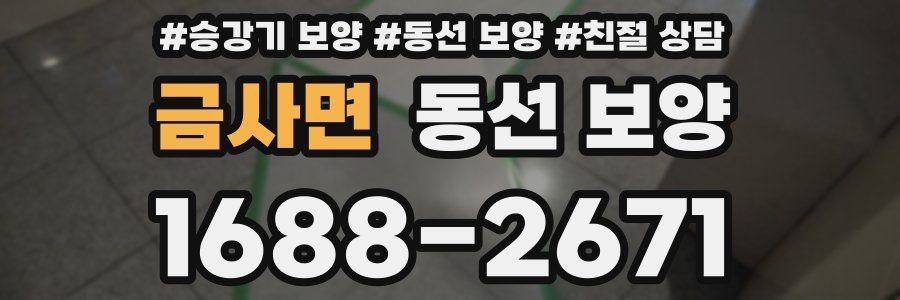 금사면 동선 보양