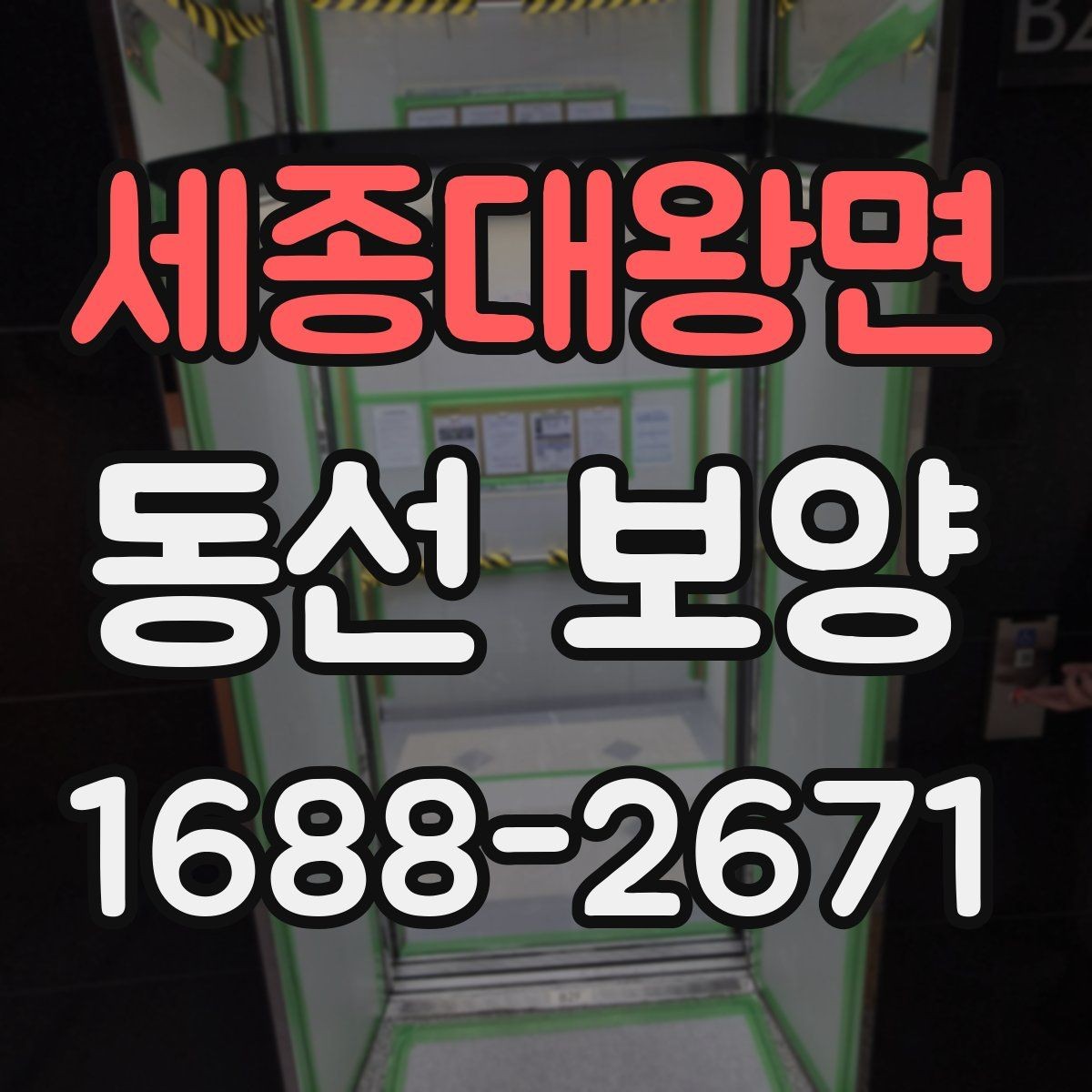 세종대왕면 동선 보양 선택 시 품질과 비용을 함께 보는 법