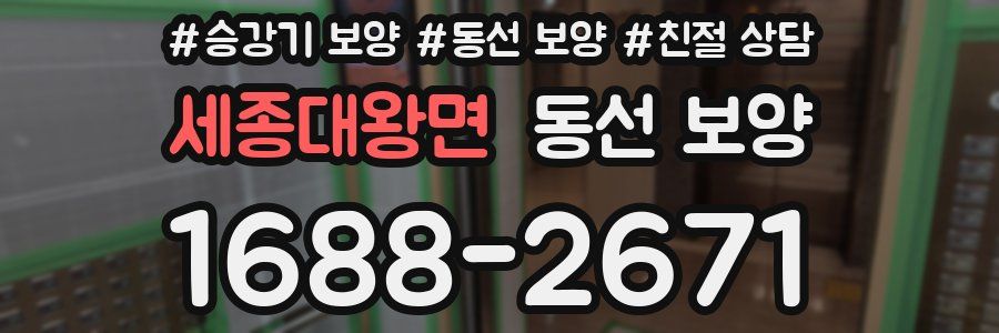 세종대왕면 동선 보양