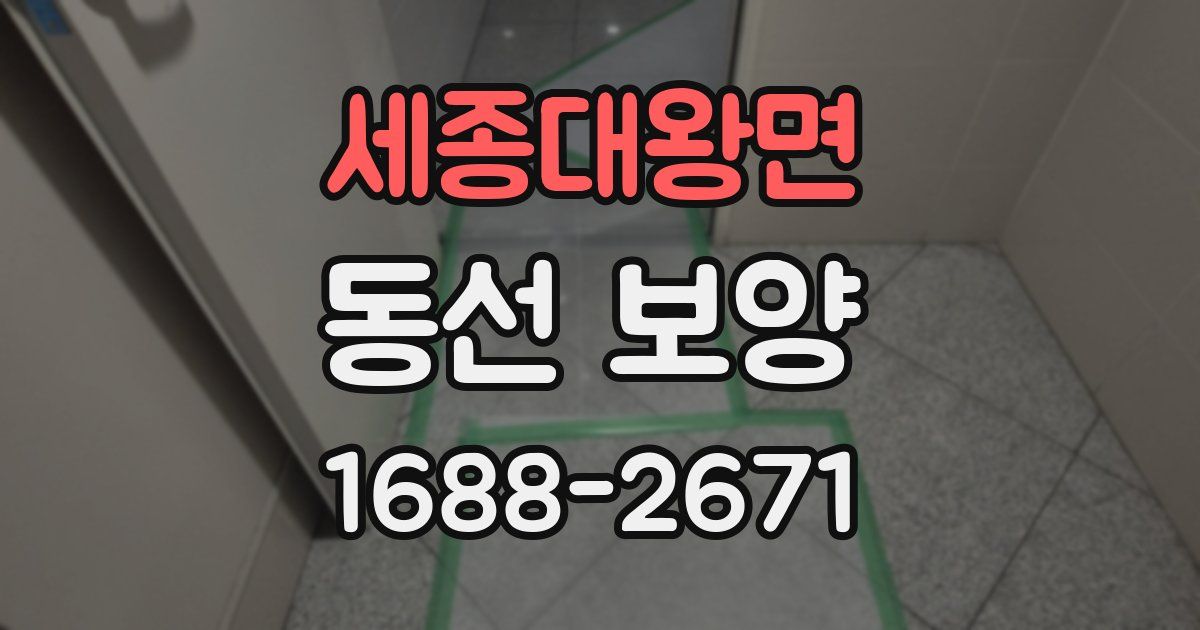 세종대왕면 동선 보양