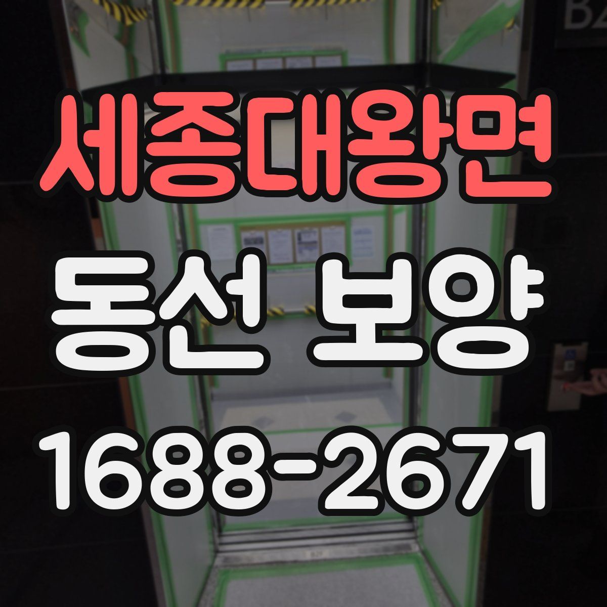 세종대왕면 동선 보양