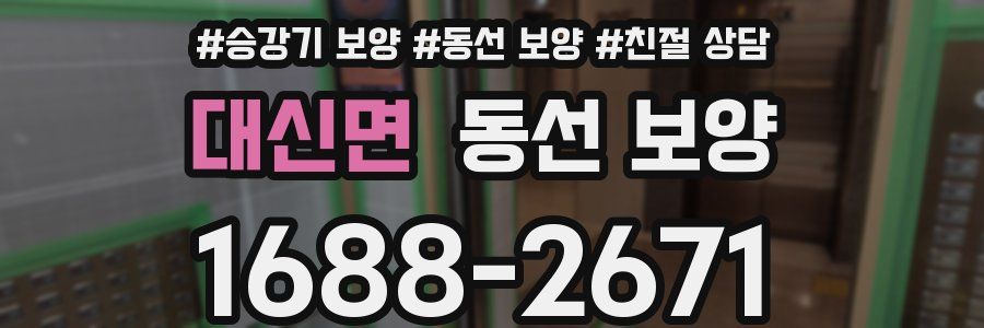 대신면 동선 보양