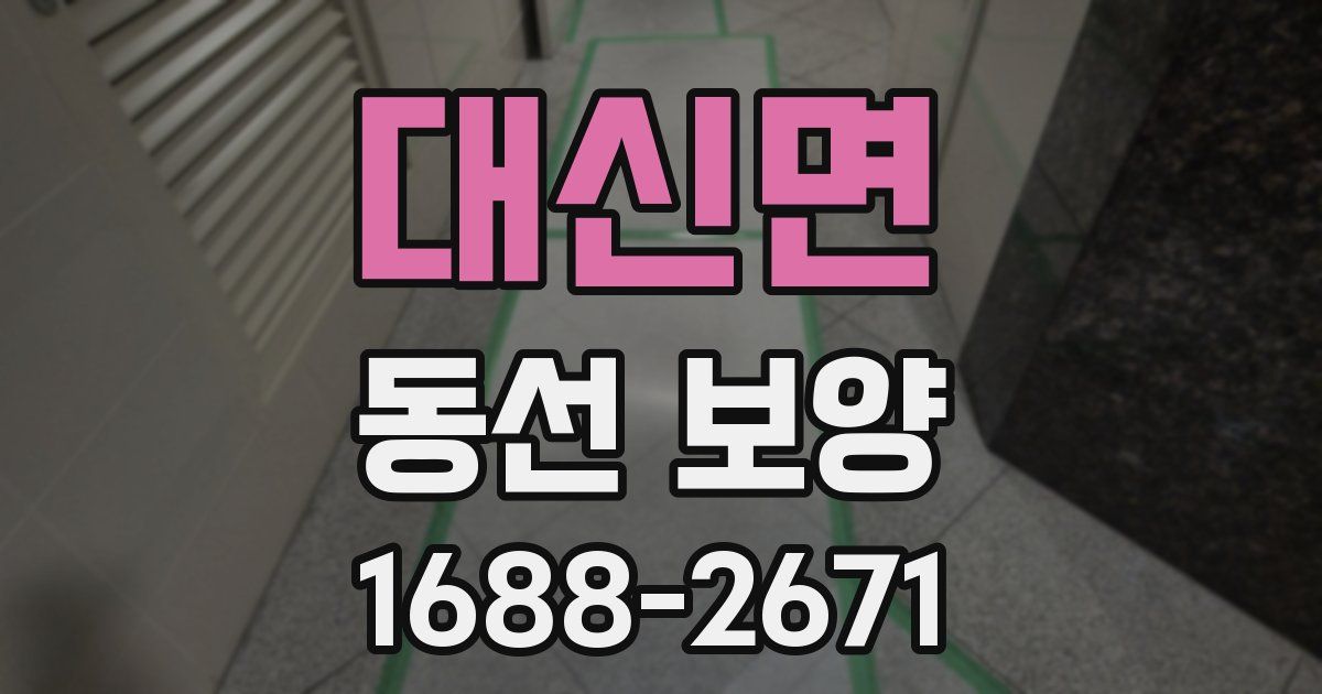 대신면 동선 보양
