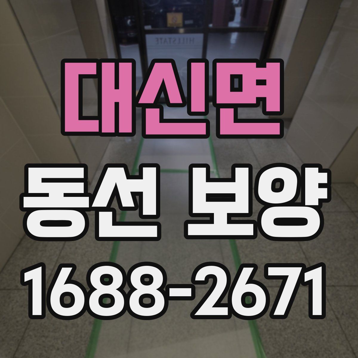 대신면 동선 보양