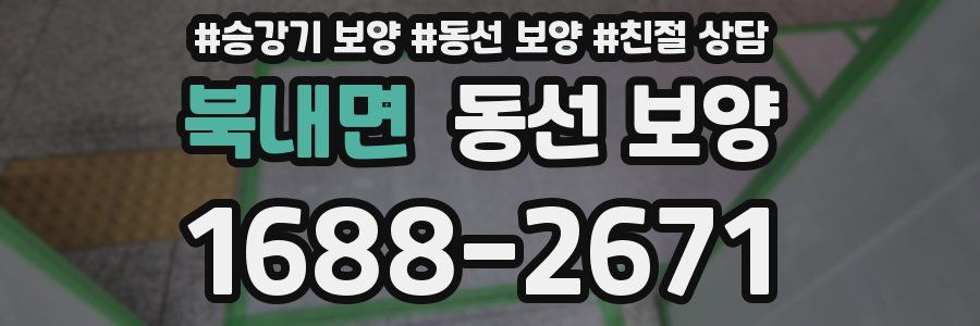 북내면 동선 보양