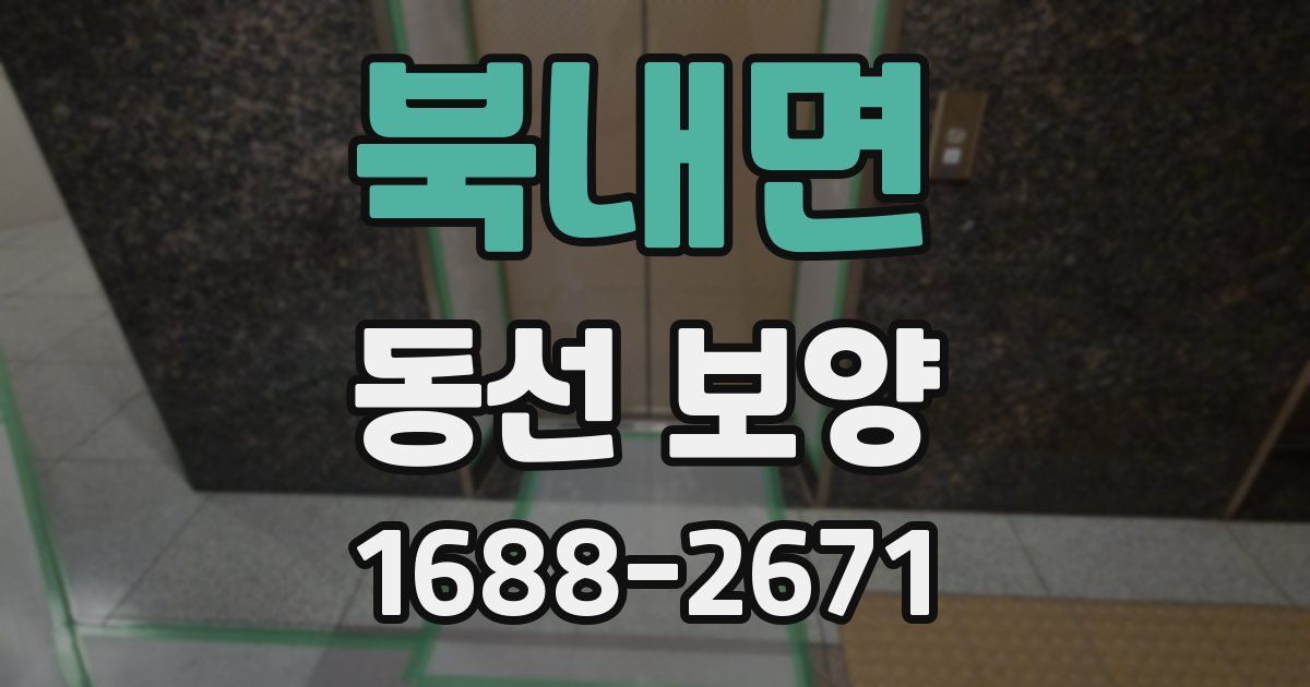 북내면 동선 보양