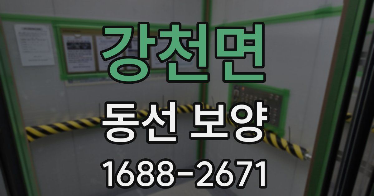 강천면 동선 보양