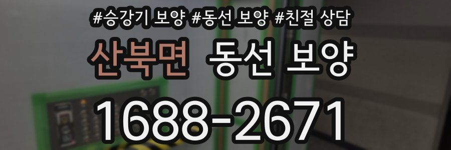 산북면 동선 보양