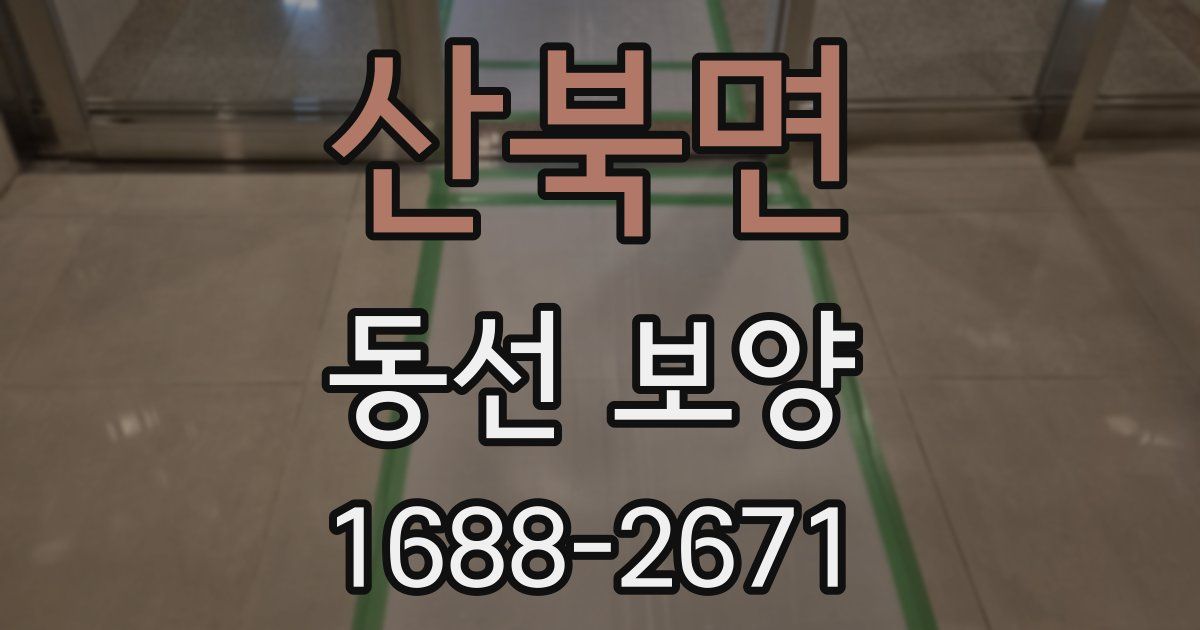 산북면 동선 보양