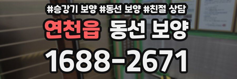 연천읍 동선 보양