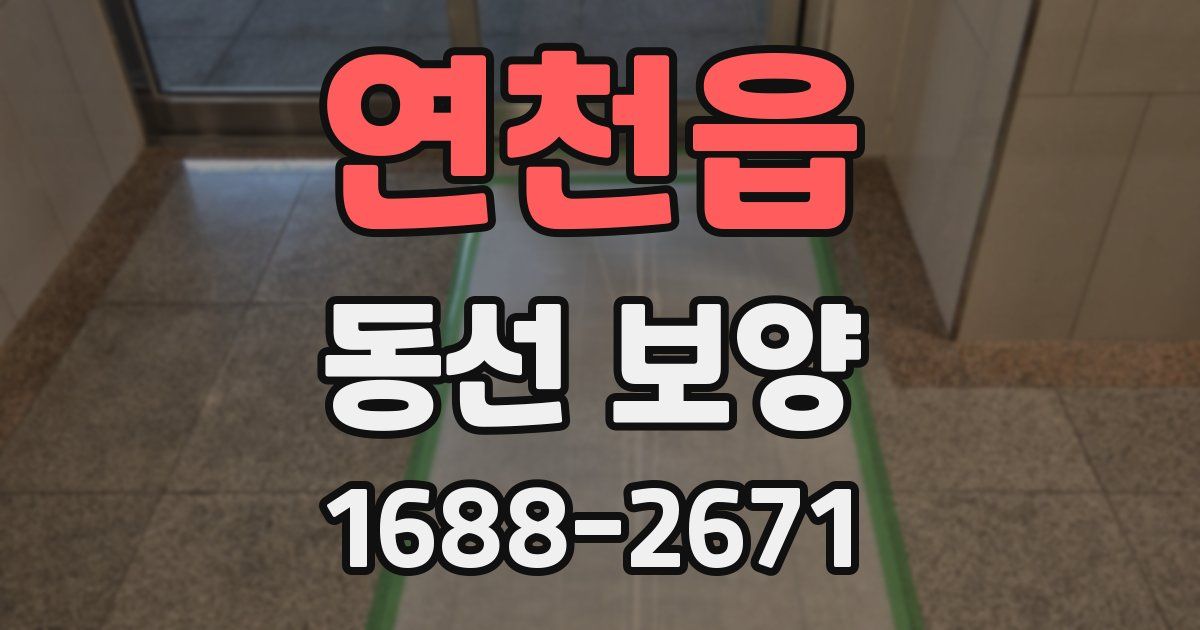연천읍 동선 보양