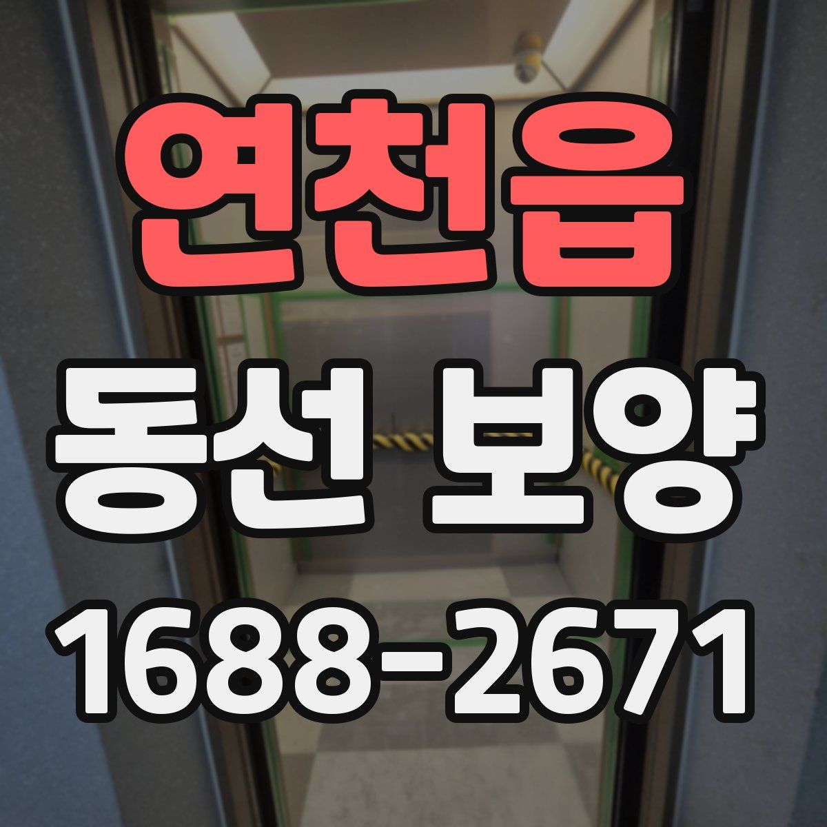 연천읍 동선 보양