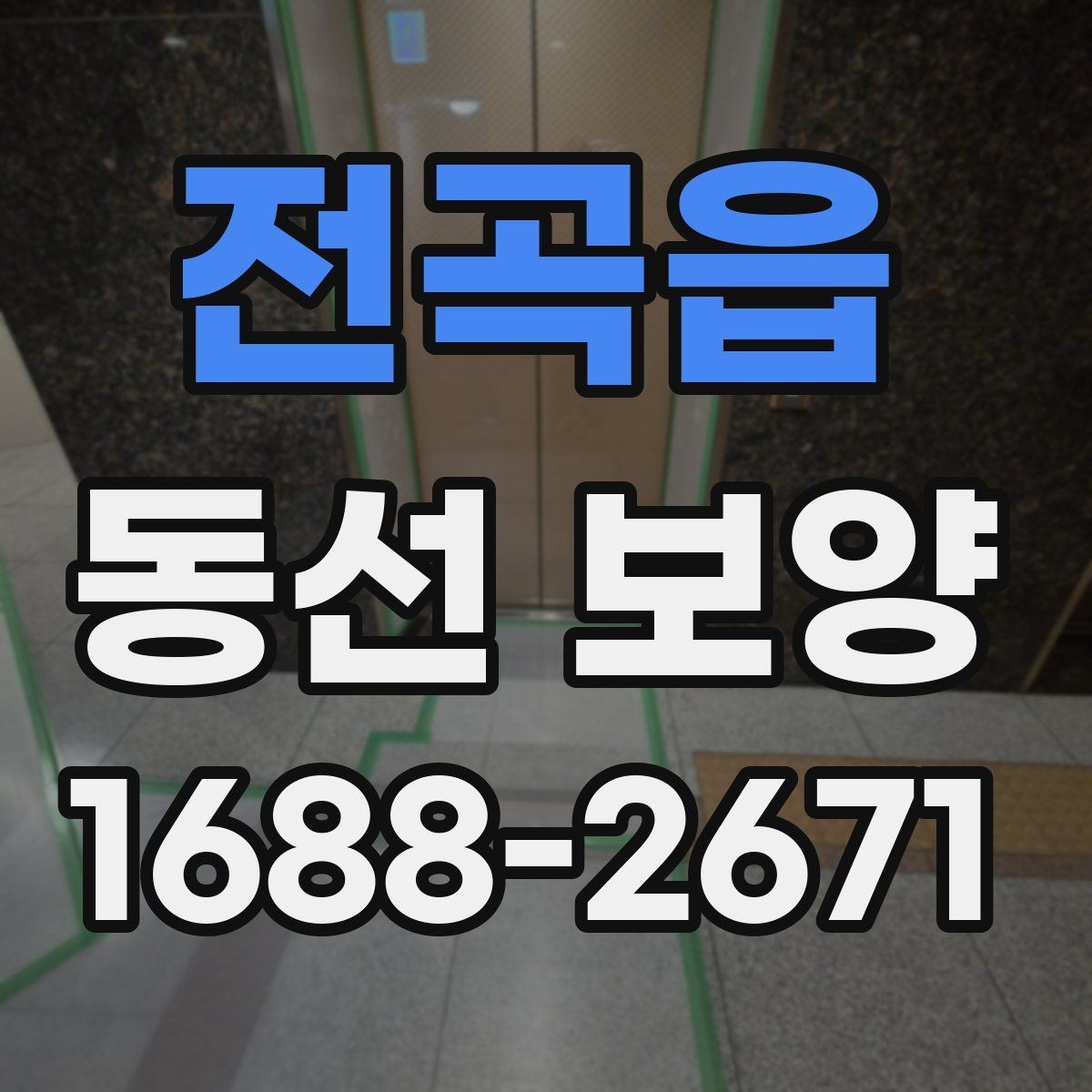 전곡읍 동선 보양 비용과 범위는 어떻게 달라질까