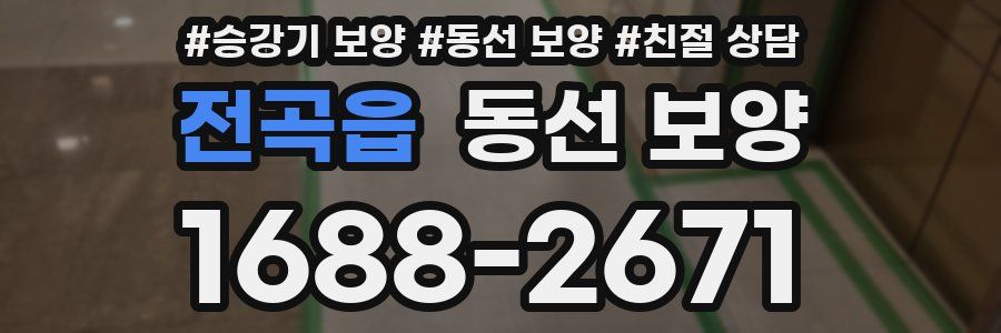 전곡읍 동선 보양