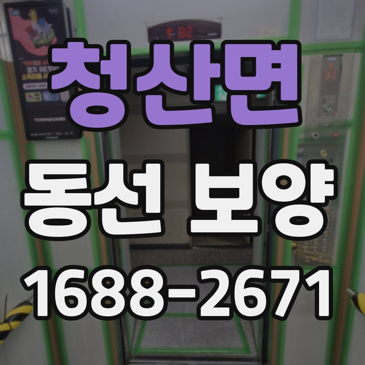 청산면 동선 보양