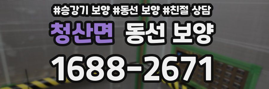 청산면 동선 보양