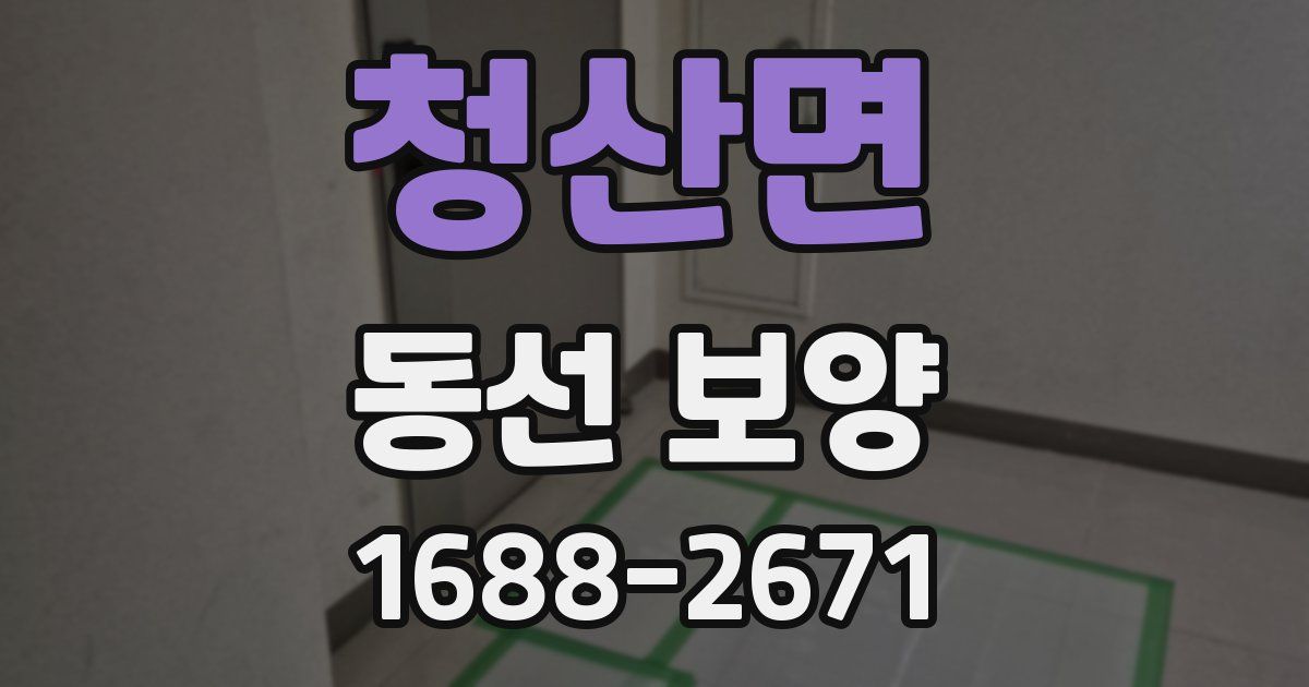 청산면 동선 보양