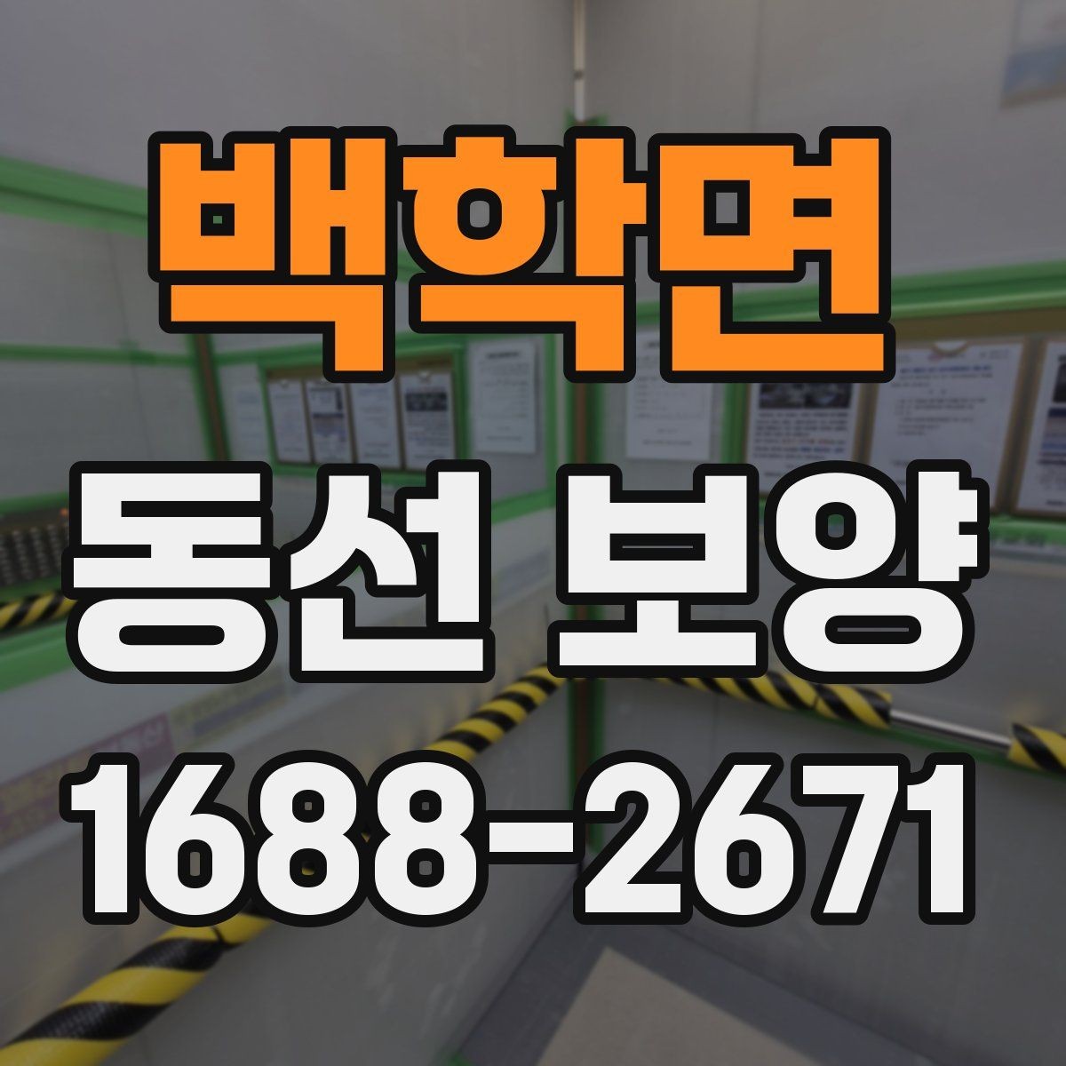 백학면 동선 보양 현장에서는 어떤 점을 먼저 볼까