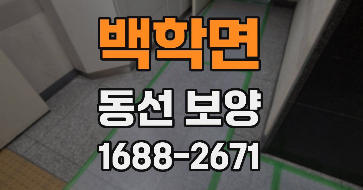 백학면 동선 보양
